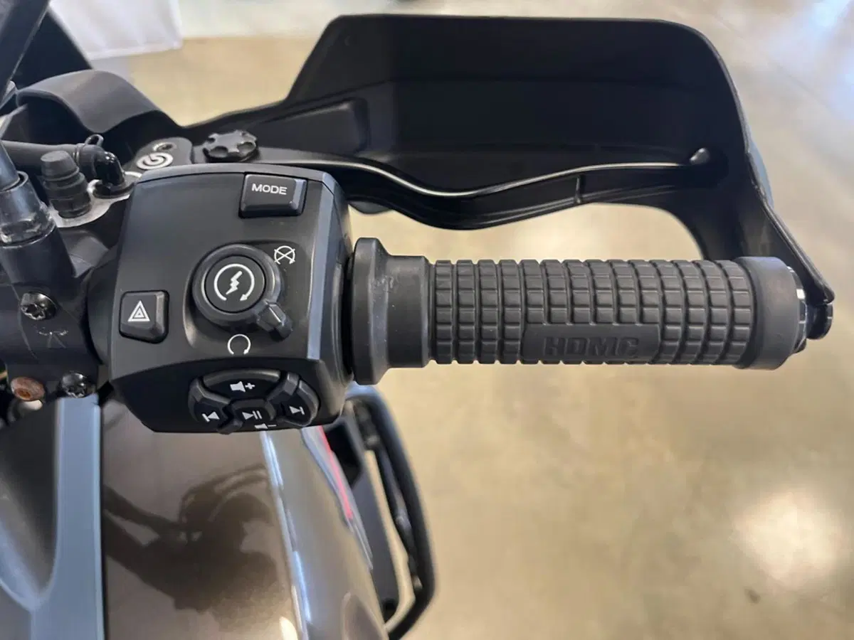 Harley-Davidson Pan America 1250 (2020 - 25) (11)