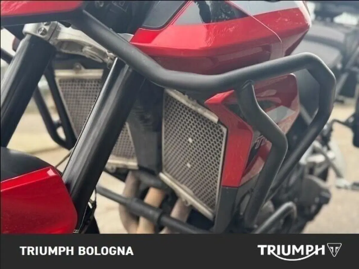 Triumph Tiger 900 GT (2020 - 23) (3)