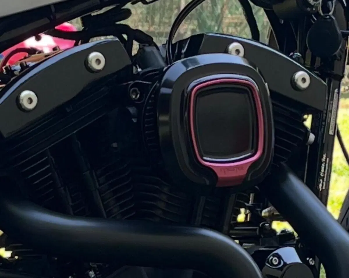 Filtro dell’aria Fangster per Sporster
