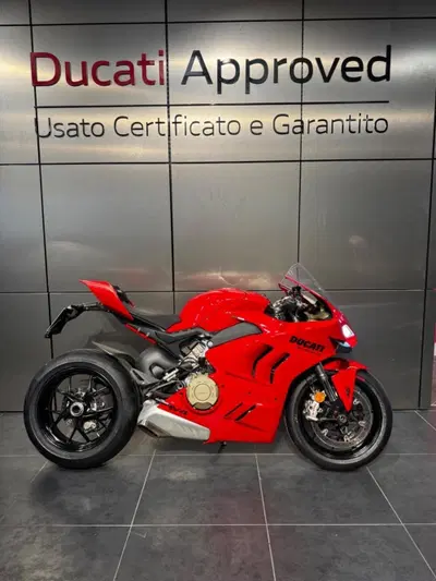 Ducati Panigale V4 (2022 - 24) usata
