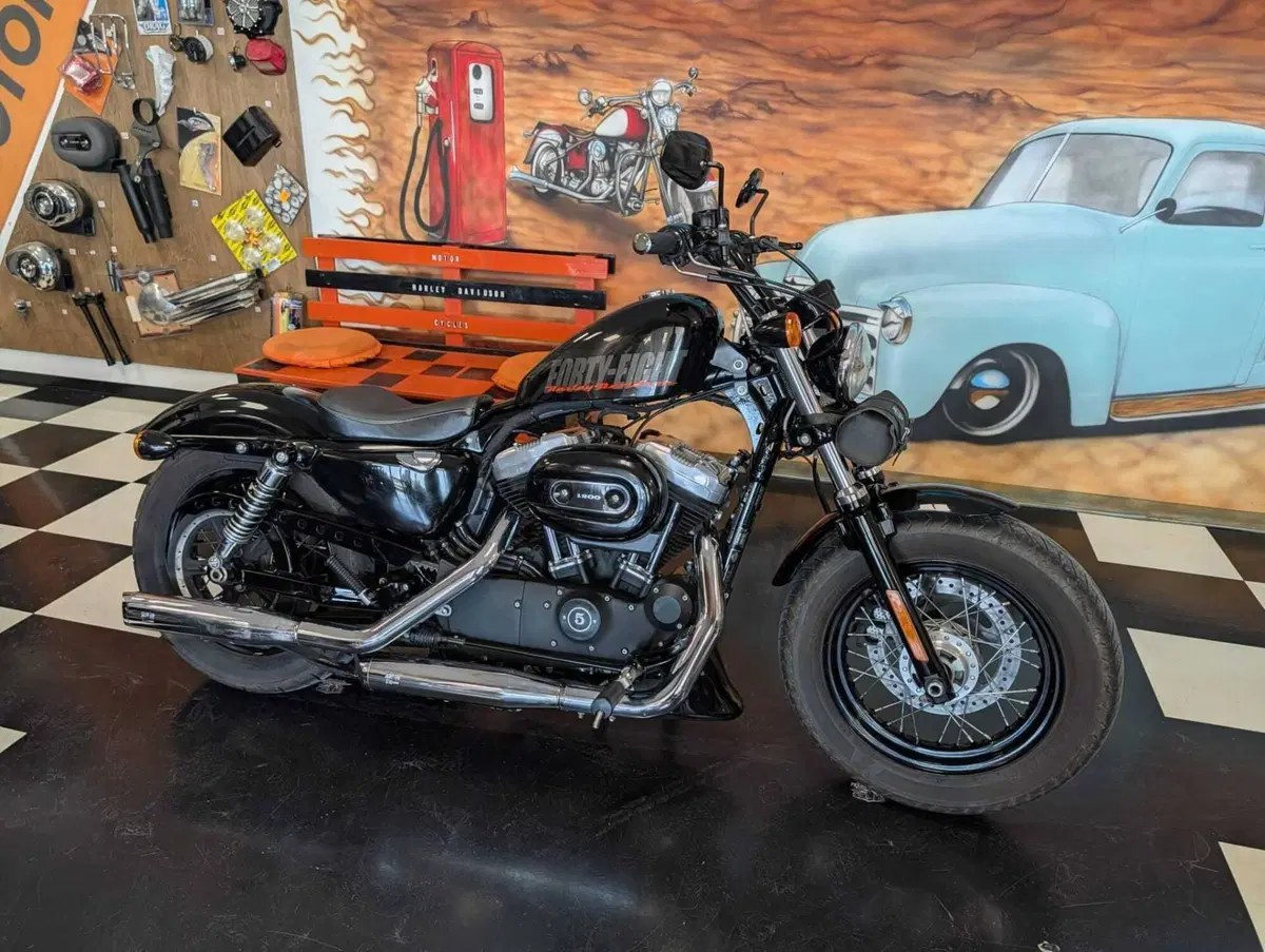 Harley-Davidson 1200 Forty-Eight (2010 - 15) (2)