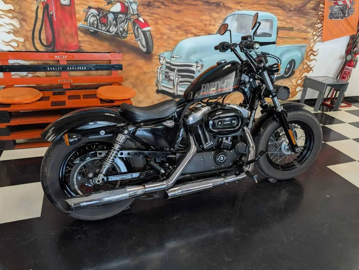Harley-Davidson 1200 Forty-Eight (2010 - 15) (3)