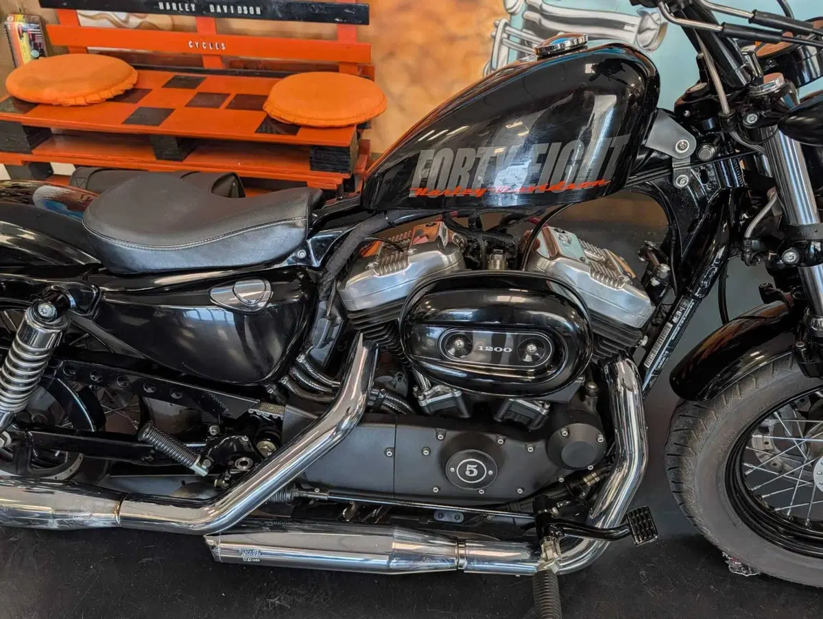 Harley-Davidson 1200 Forty-Eight (2010 - 15) (4)
