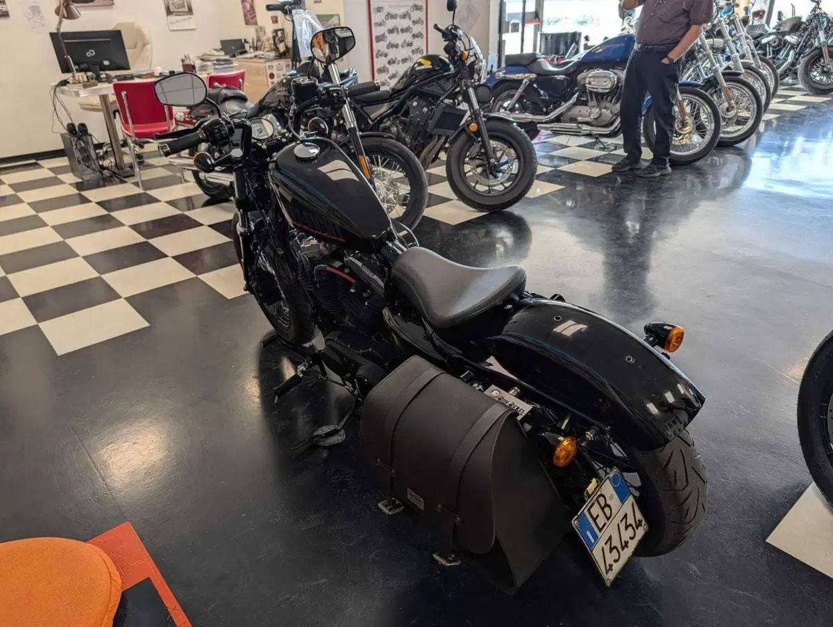 Harley-Davidson 1200 Forty-Eight (2010 - 15) (5)