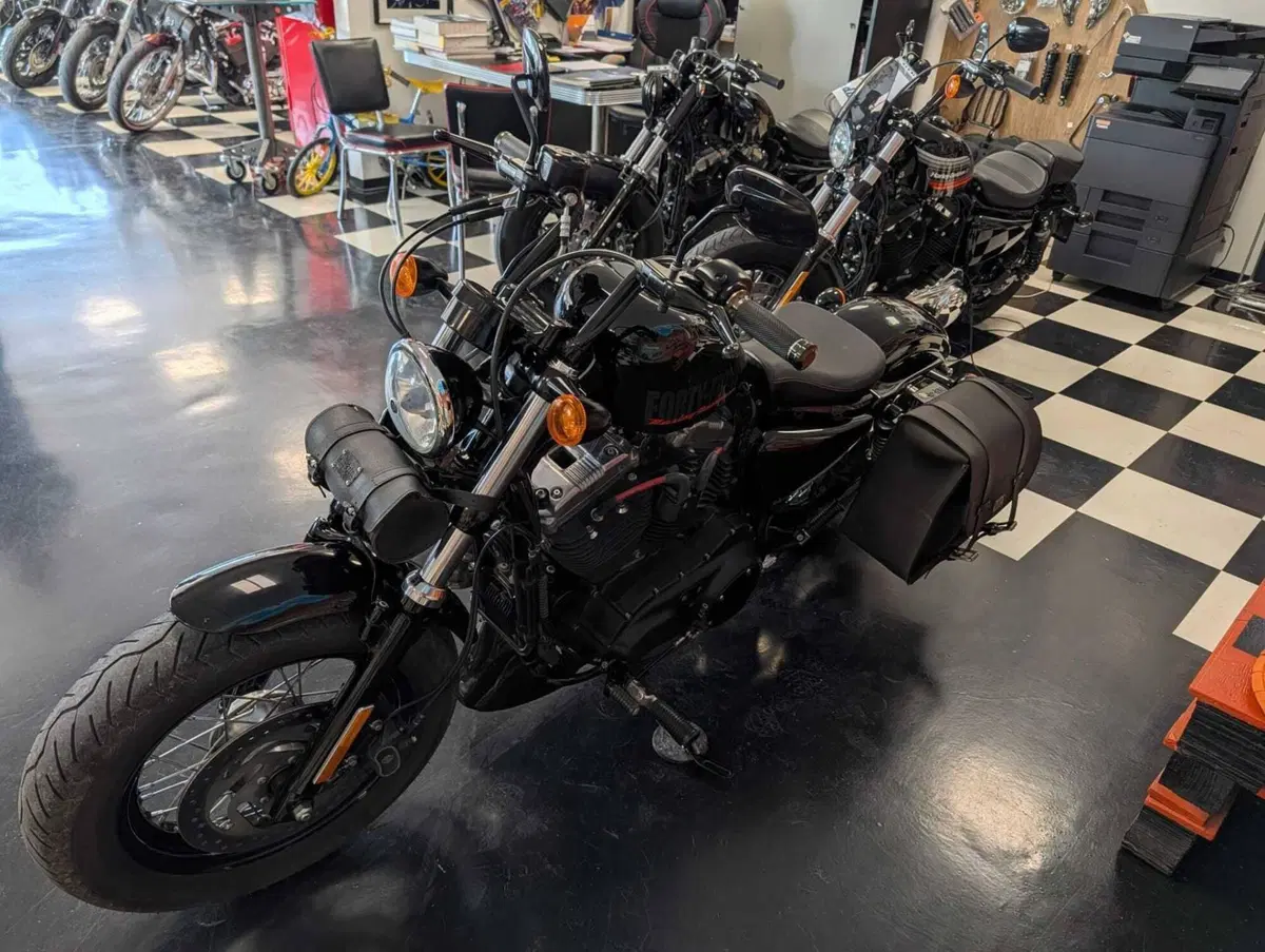 Harley-Davidson 1200 Forty-Eight (2010 - 15) (6)