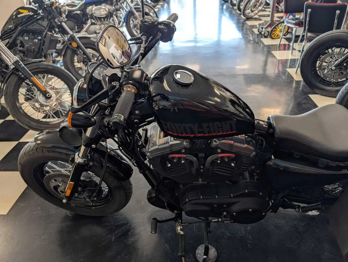 Harley-Davidson 1200 Forty-Eight (2010 - 15) (7)