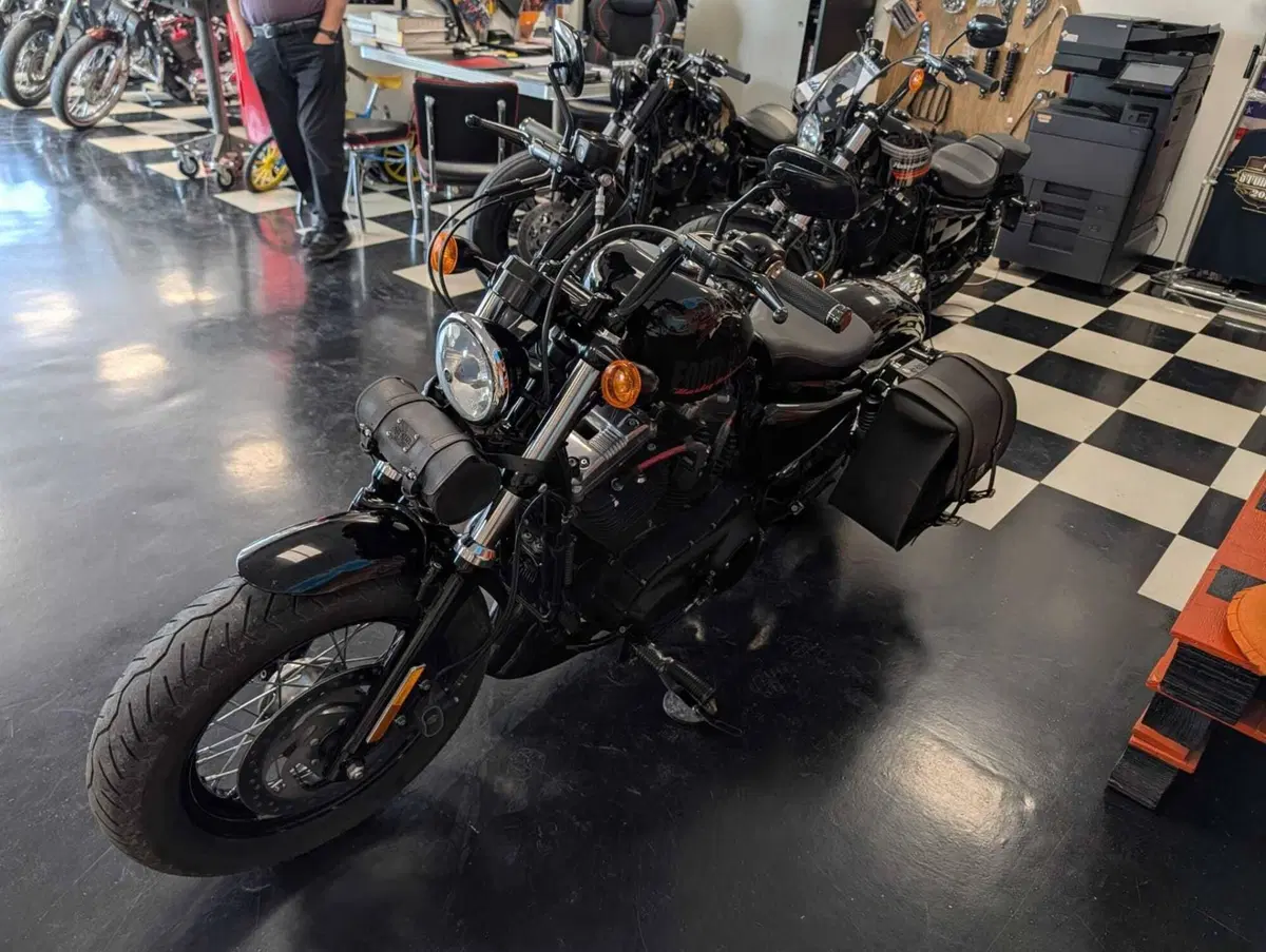Harley-Davidson 1200 Forty-Eight (2010 - 15) (8)