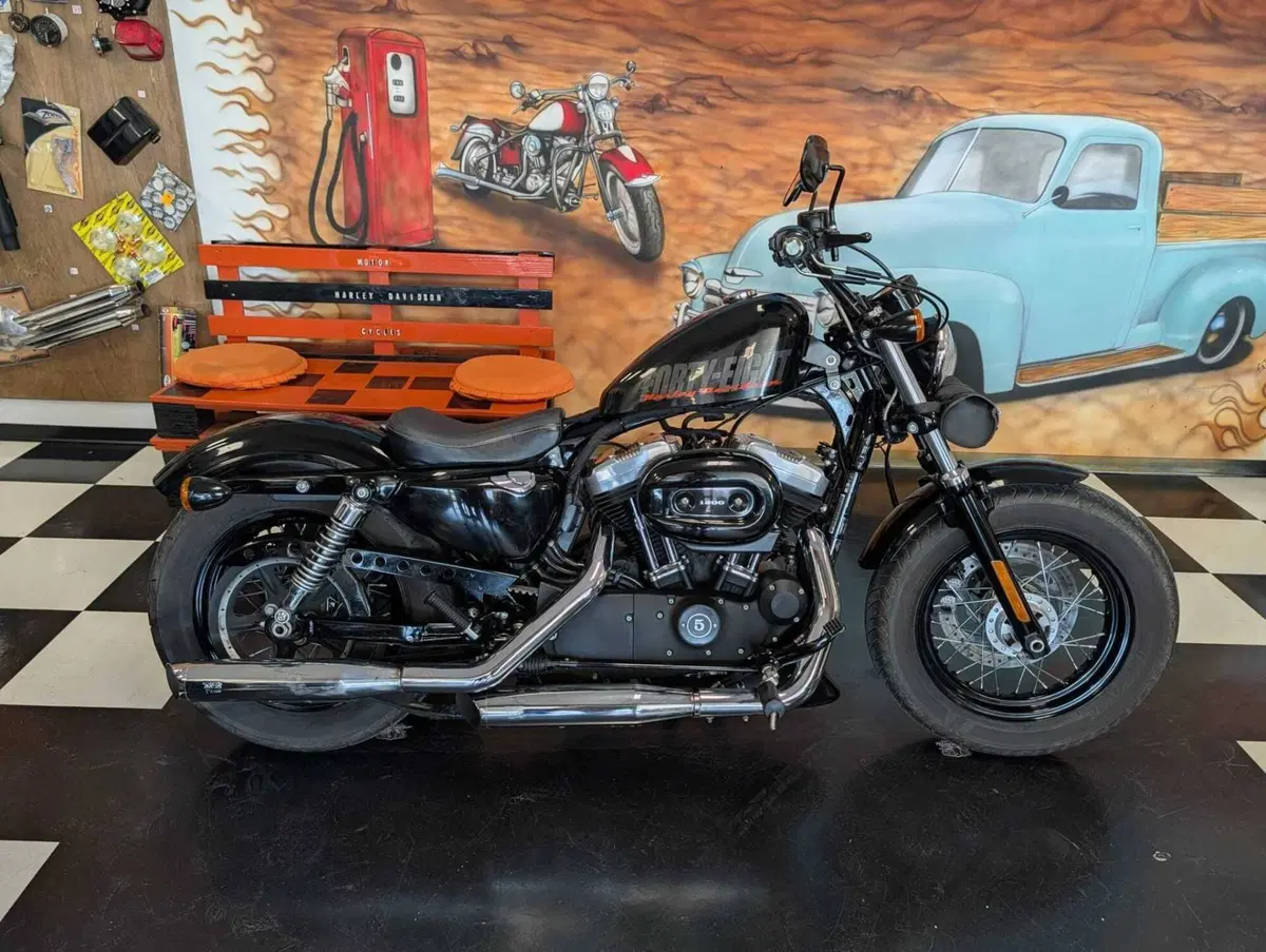 Harley-Davidson 1200 Forty-Eight (2010 - 15) (9)