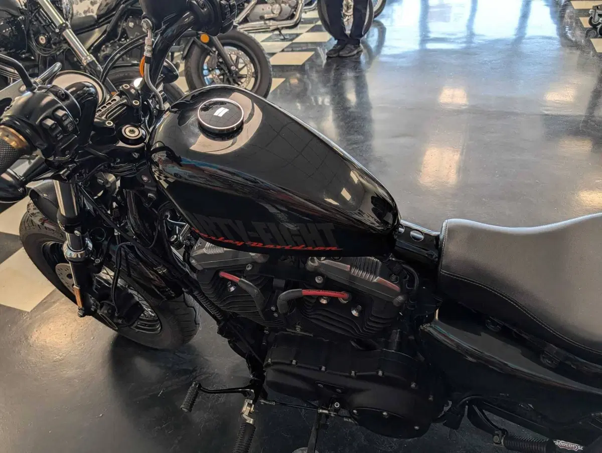 Harley-Davidson 1200 Forty-Eight (2010 - 15) (10)