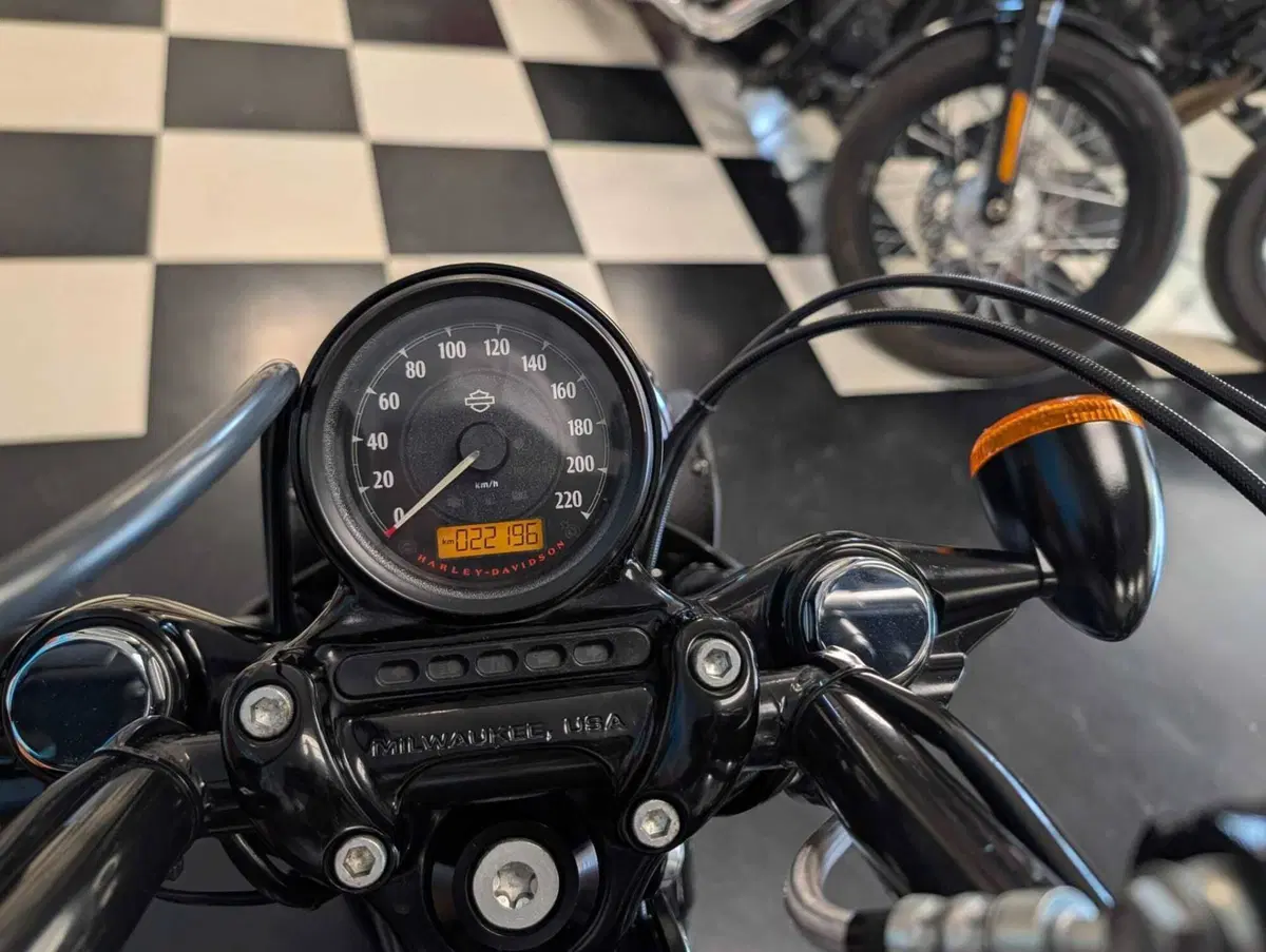 Harley-Davidson 1200 Forty-Eight (2010 - 15) (11)