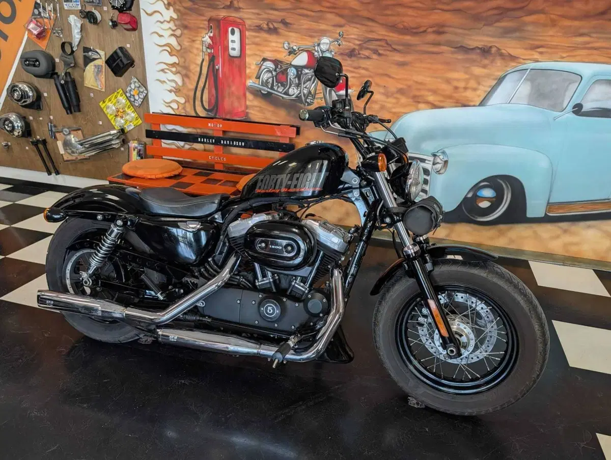 Harley-Davidson 1200 Forty-Eight (2010 - 15) (12)