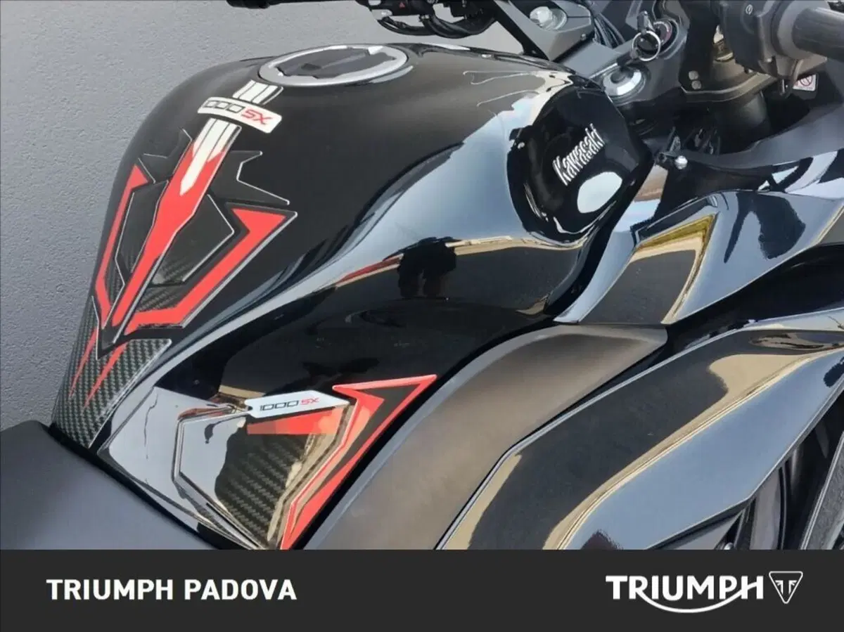 Kawasaki Z 1000 SX Tourer (2020) (4)