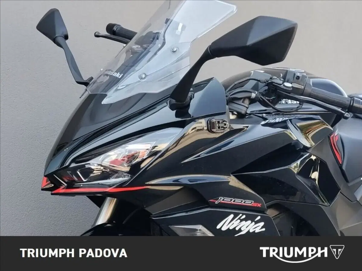 Kawasaki Z 1000 SX Tourer (2020) (10)