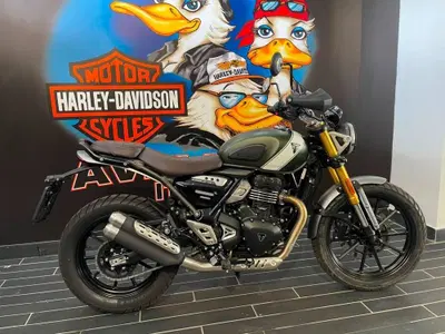 Triumph Scrambler 400 X (2024 - 26) usata