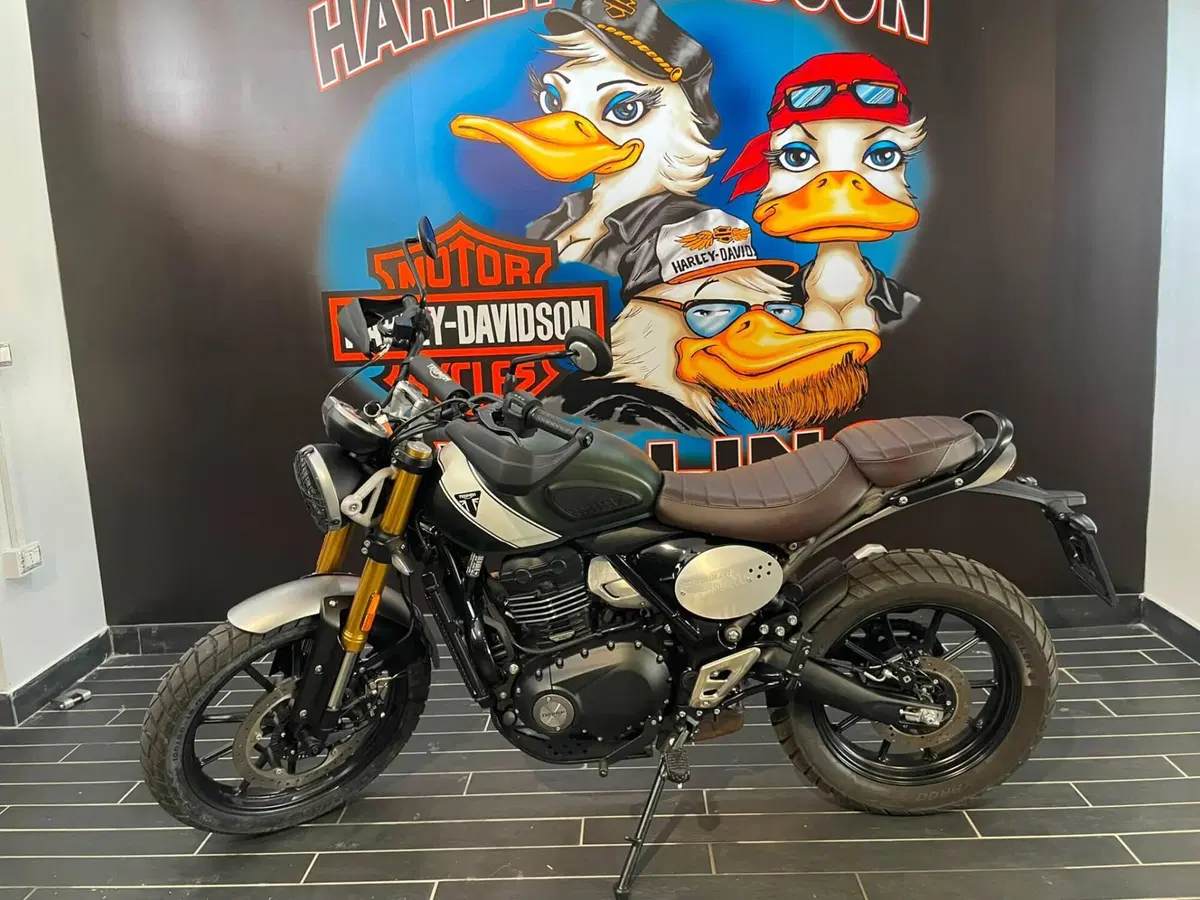Triumph Scrambler 400 X (2024 - 26) (2)