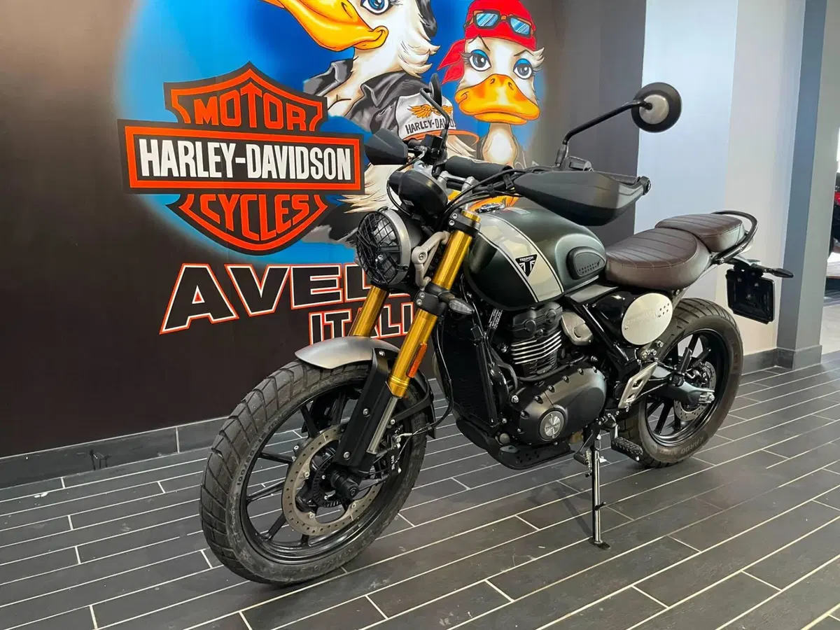 Triumph Scrambler 400 X (2024 - 26) (3)