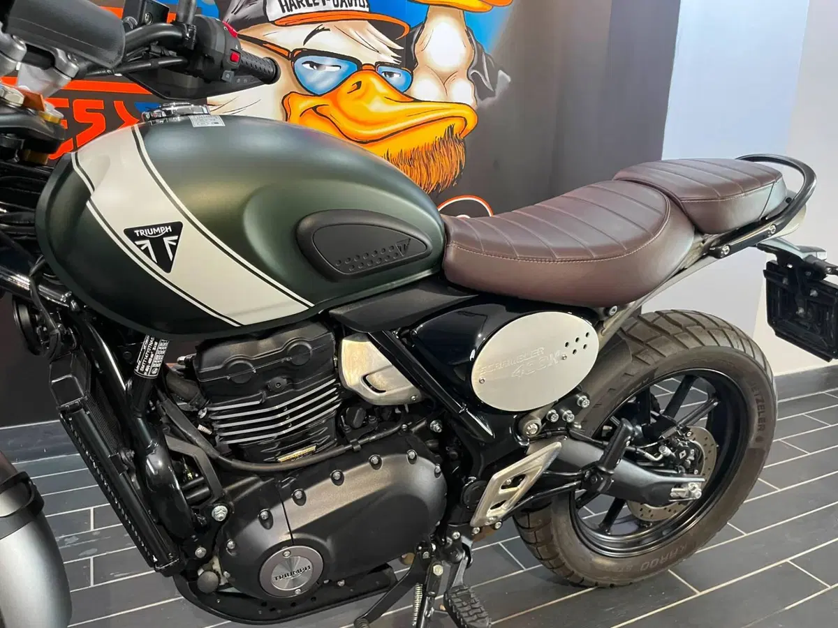 Triumph Scrambler 400 X (2024 - 26) (5)