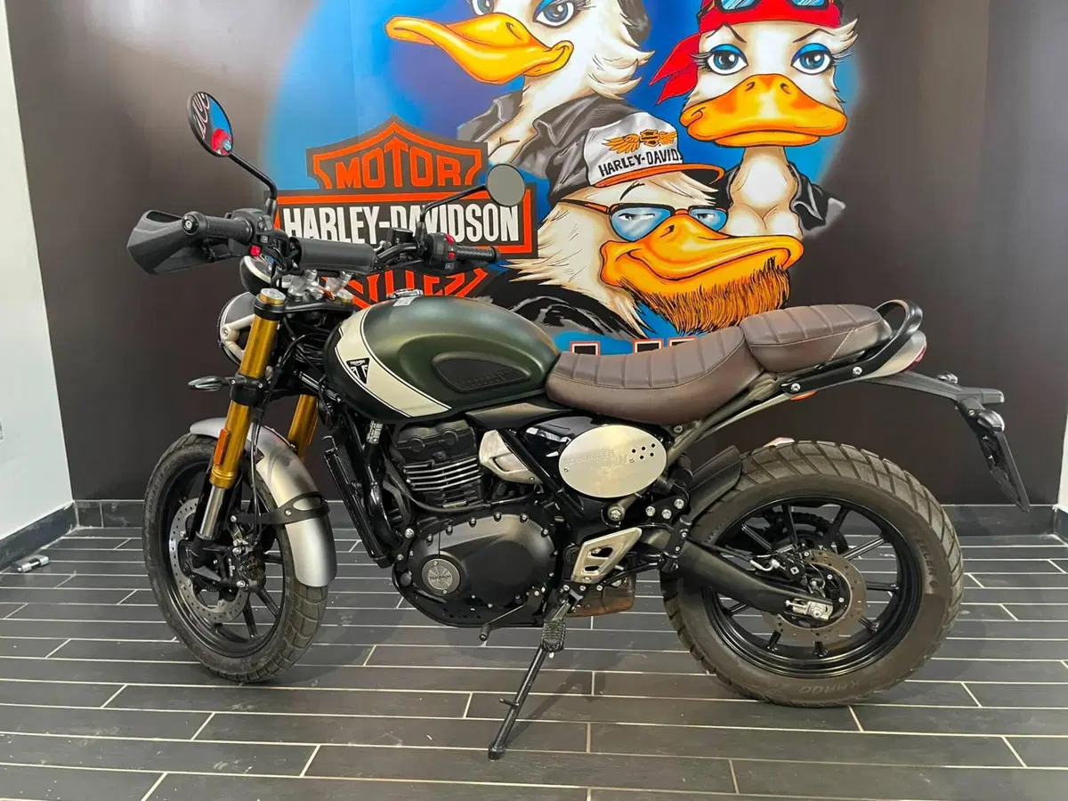 Triumph Scrambler 400 X (2024 - 26) (6)