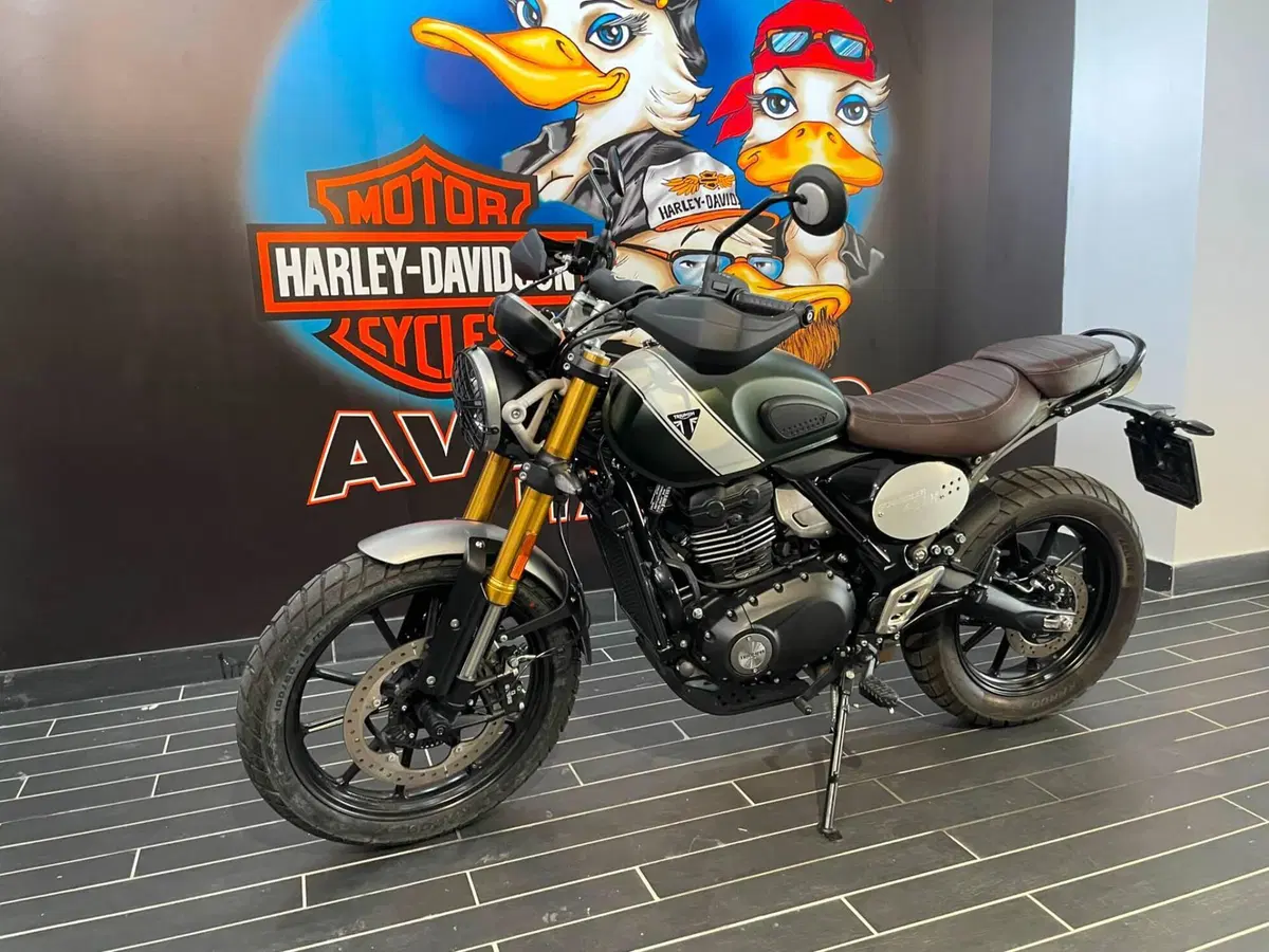 Triumph Scrambler 400 X (2024 - 26) (7)