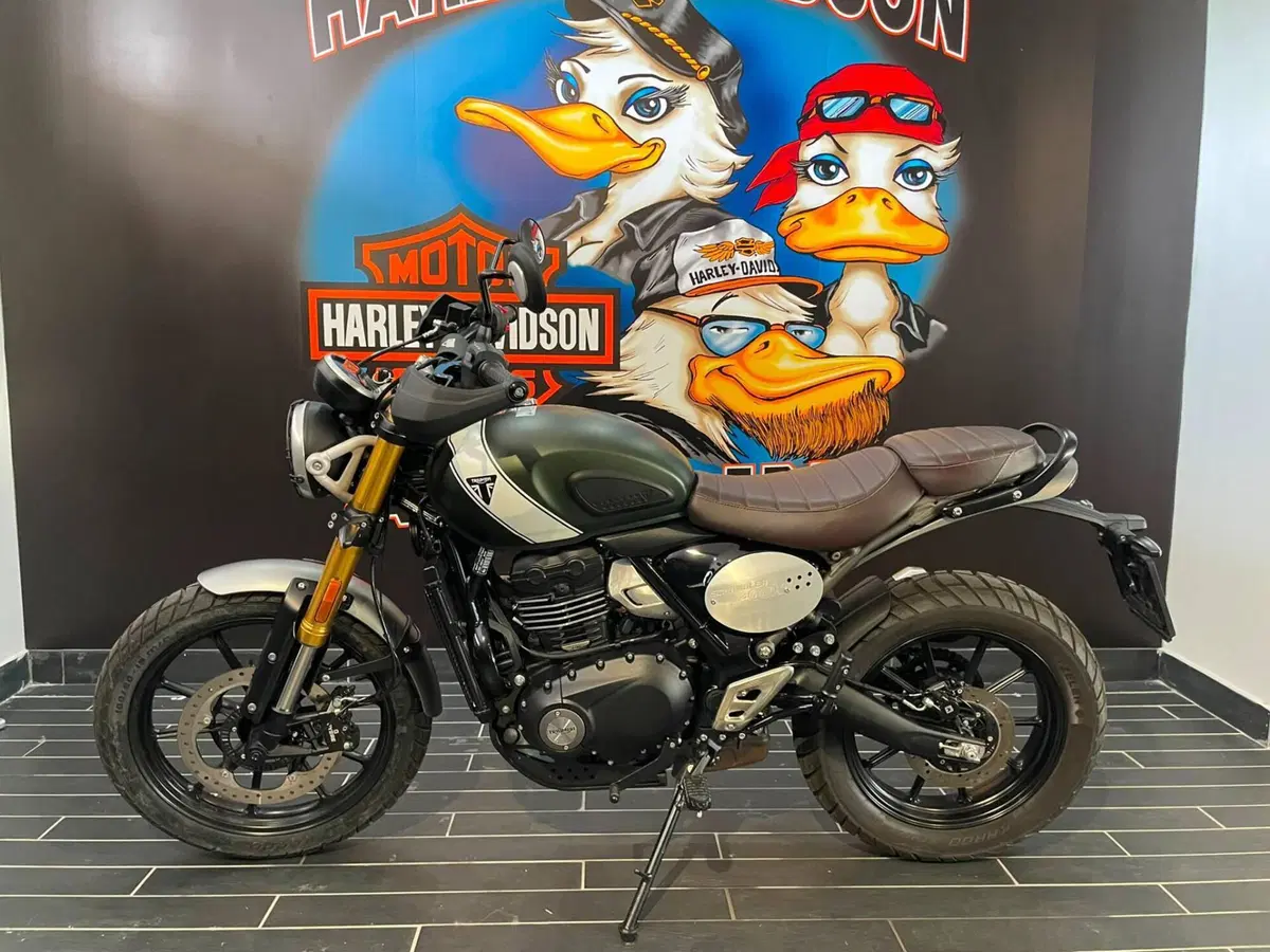 Triumph Scrambler 400 X (2024 - 26) (9)