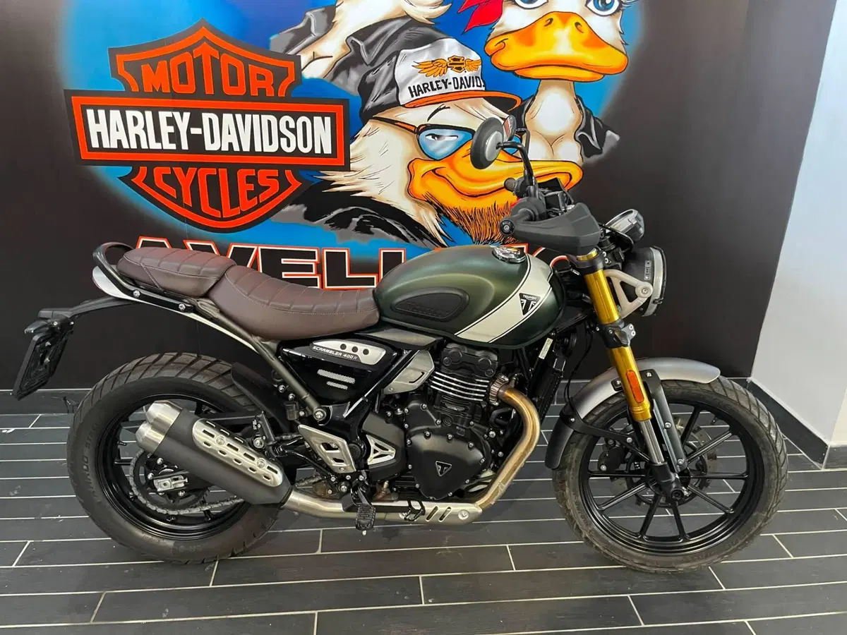 Triumph Scrambler 400 X (2024 - 26) (10)