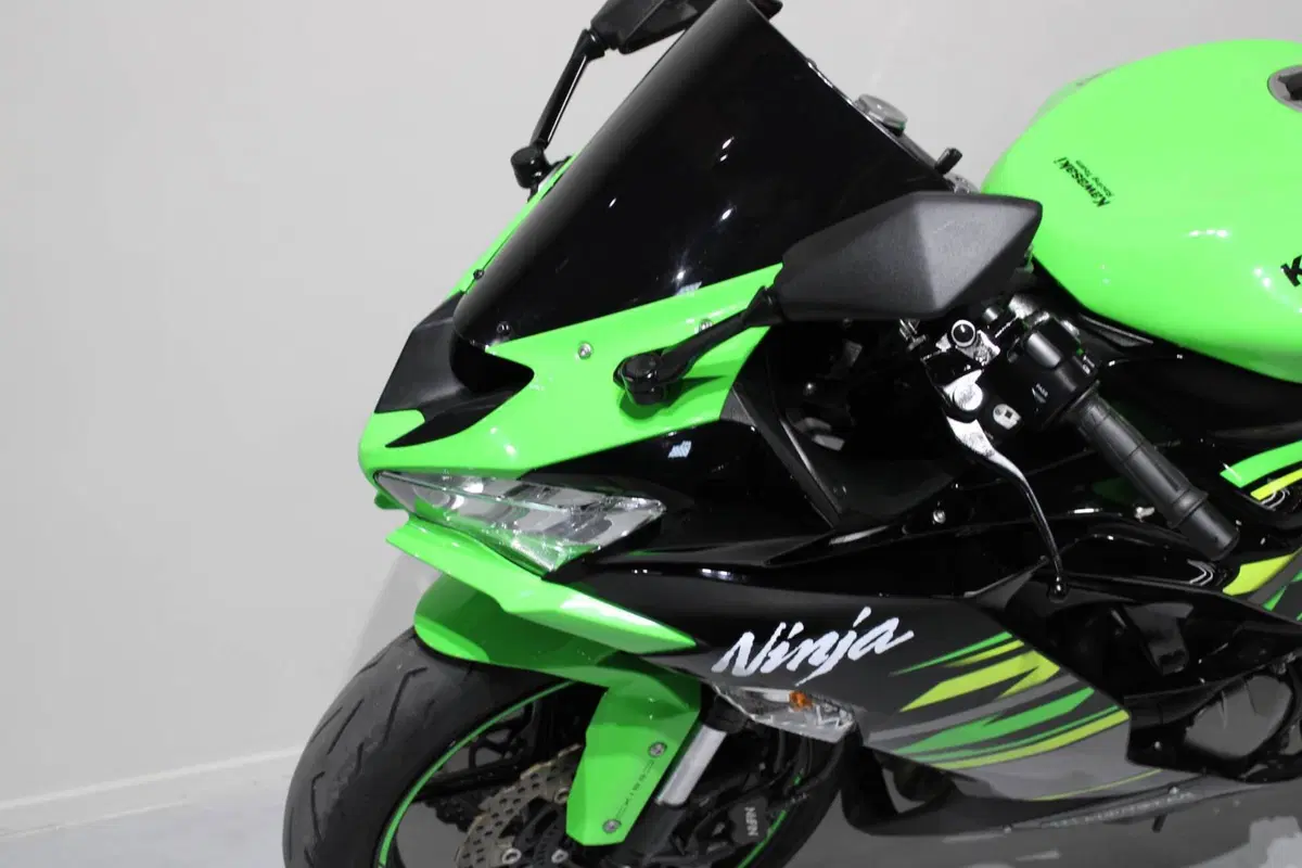 Kawasaki Ninja 636 ZX-6R (2019 - 20) (5)
