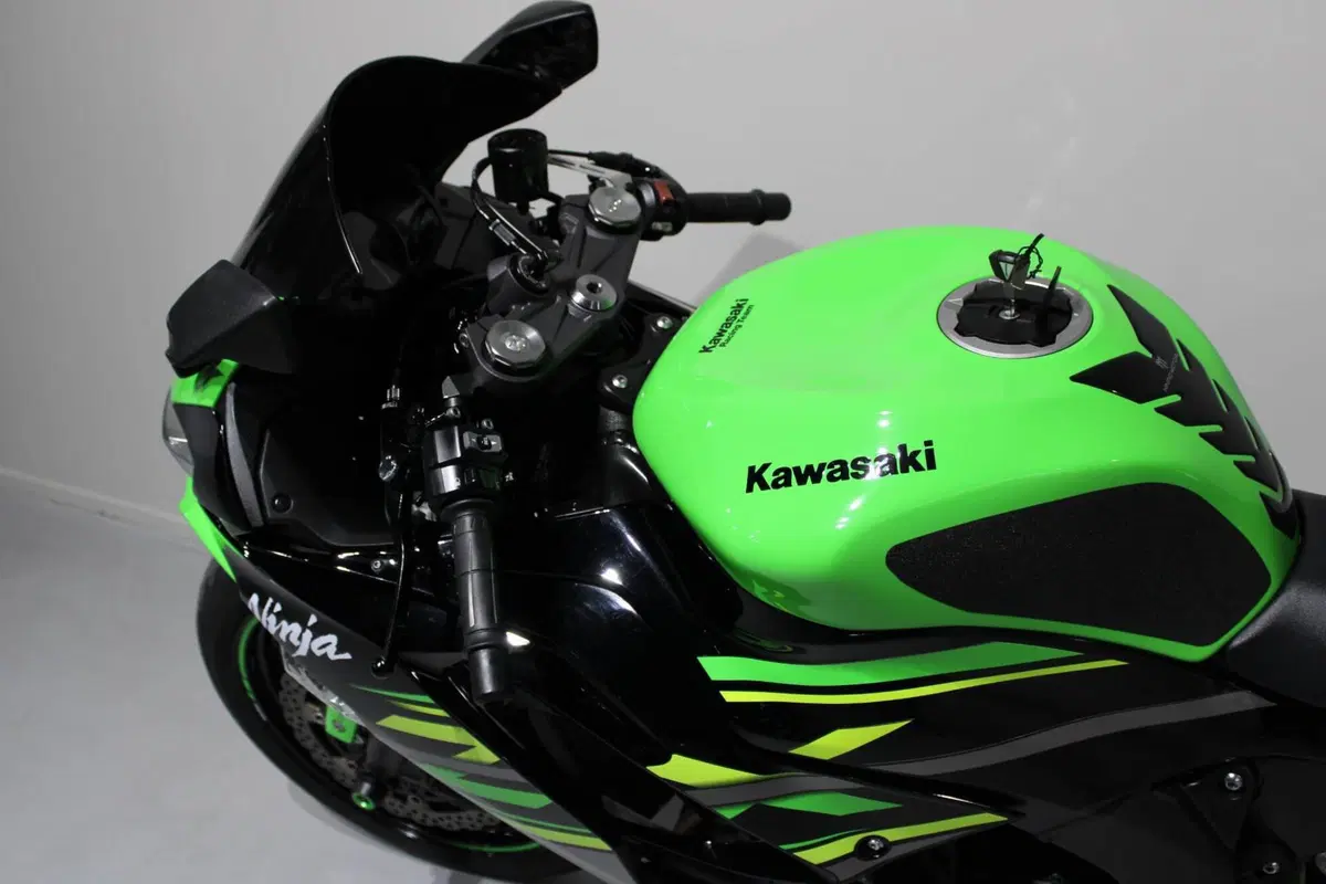 Kawasaki Ninja 636 ZX-6R (2019 - 20) (6)