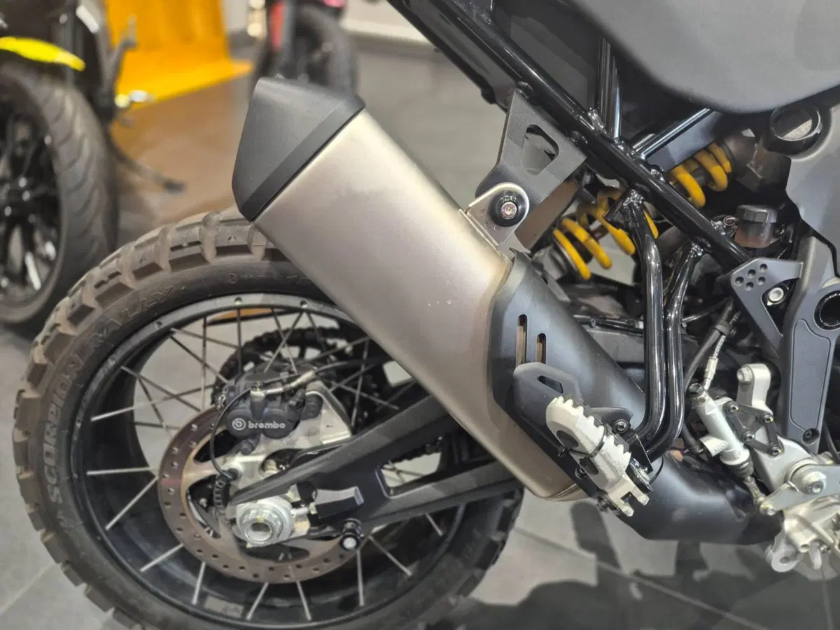 Ducati DesertX (2022 - 25) (8)