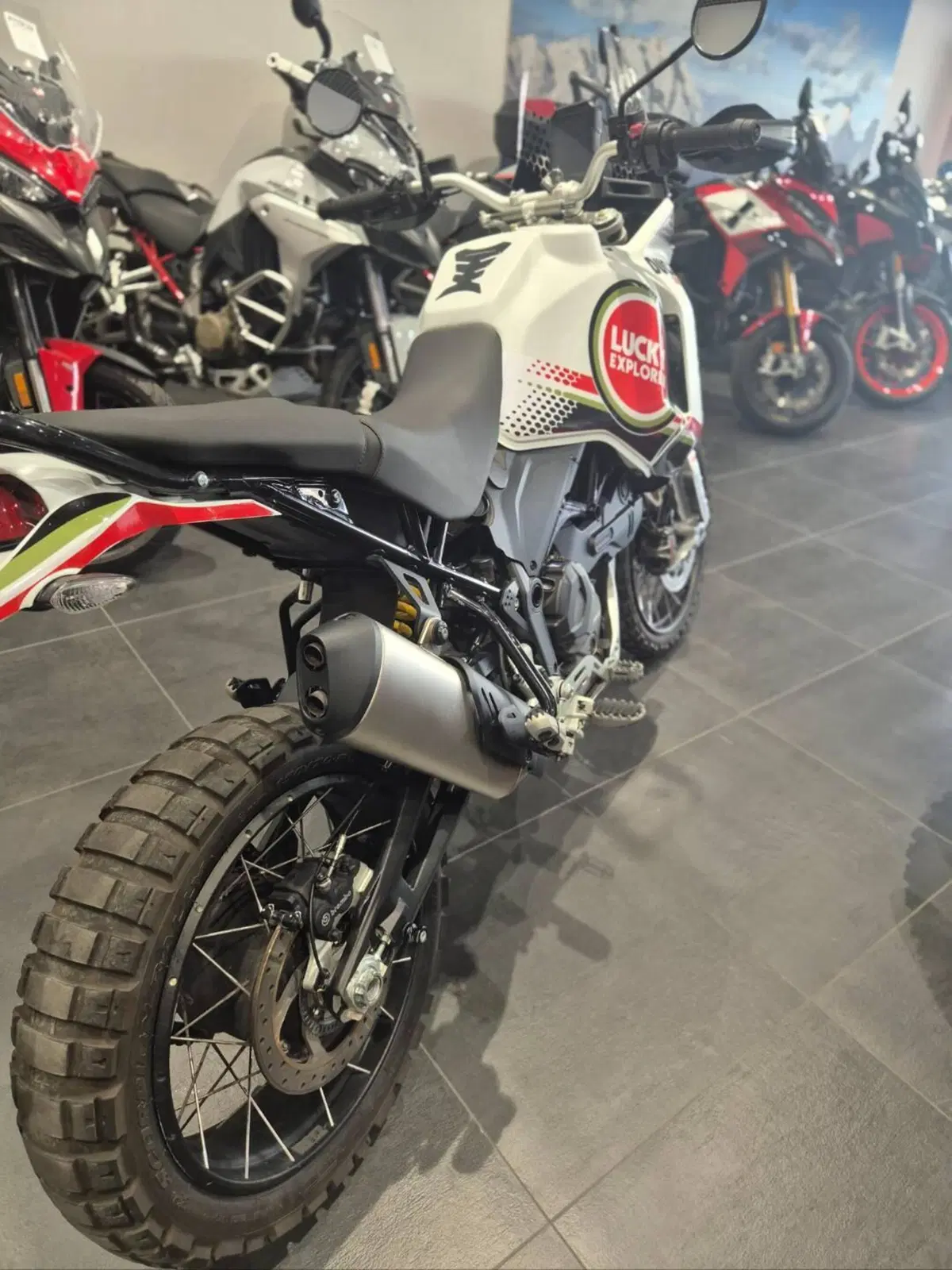 Ducati DesertX (2022 - 25) (3)