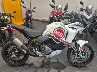 Ducati DesertX (2022 - 25) usata