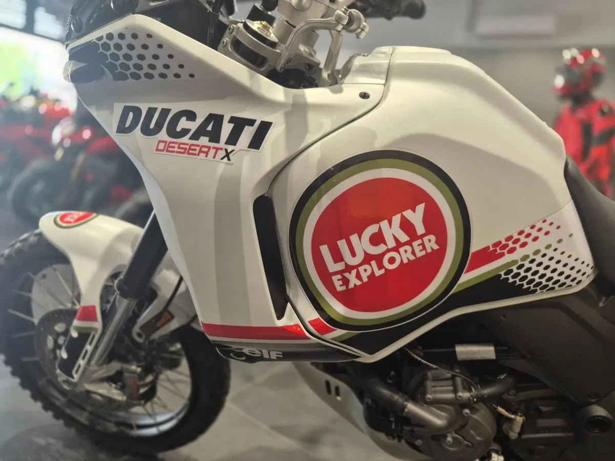 Ducati DesertX (2022 - 25) (5)