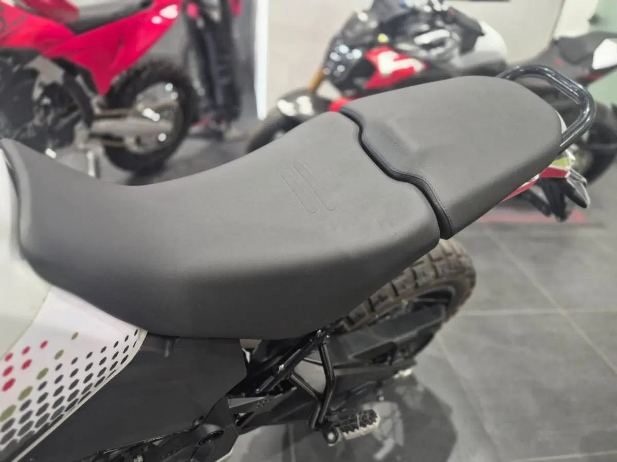 Ducati DesertX (2022 - 25) (10)