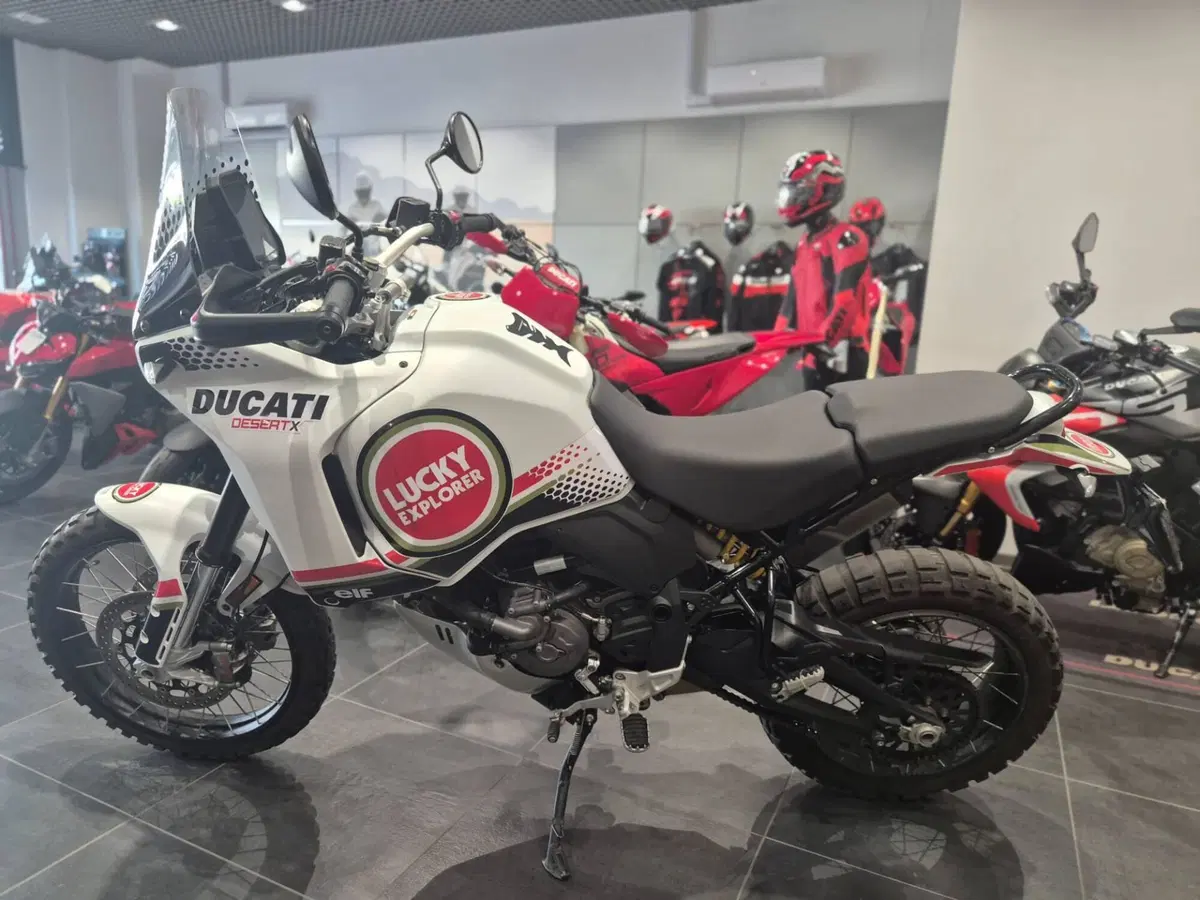 Ducati DesertX (2022 - 25) (2)