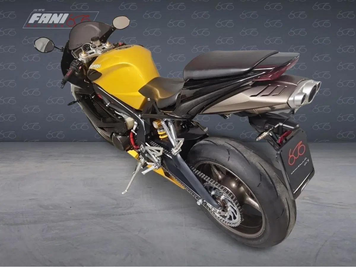 Triumph Daytona 675 (2006 - 08) (4)