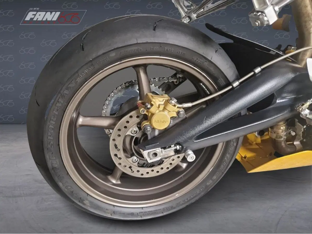 Triumph Daytona 675 (2006 - 08) (6)