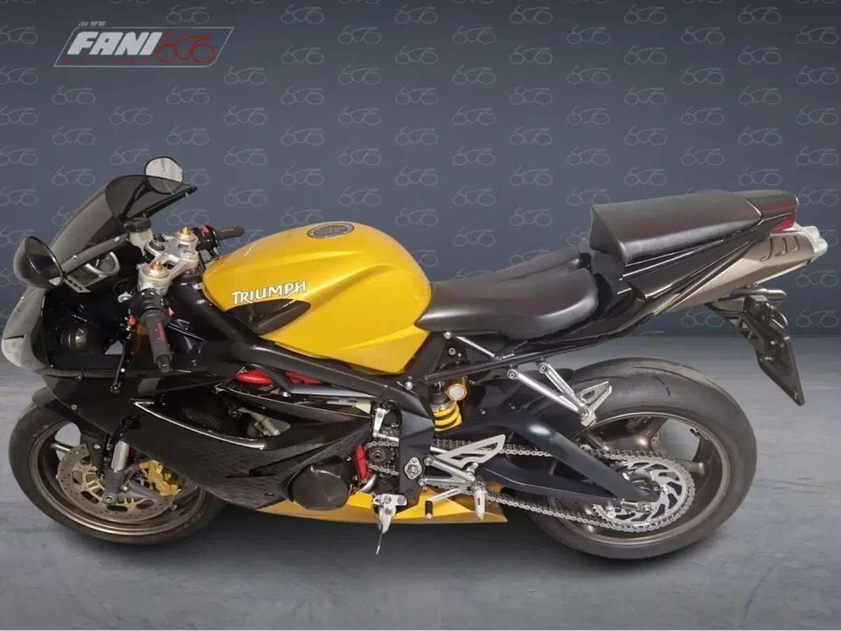 Triumph Daytona 675 (2006 - 08) (3)