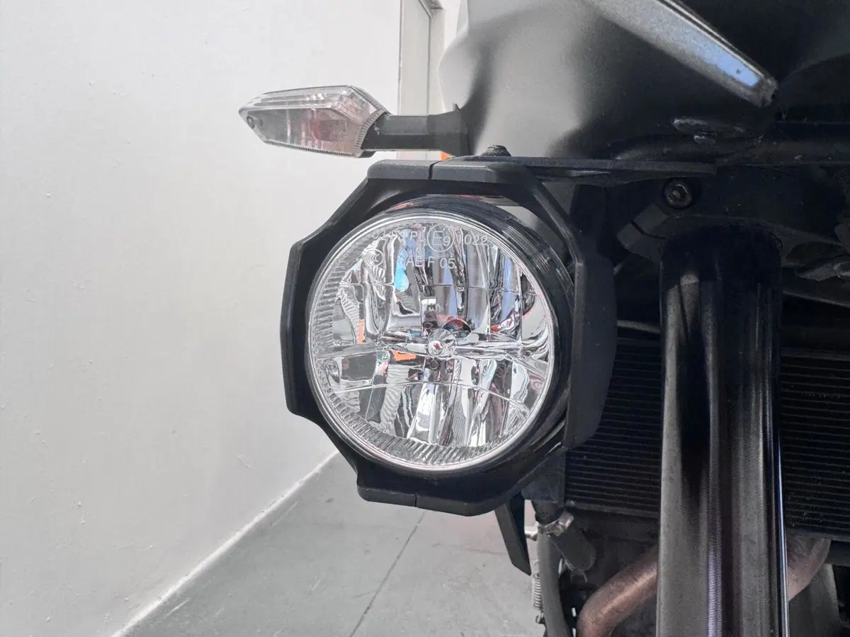 Kawasaki Versys 650 (2017 - 20) (5)