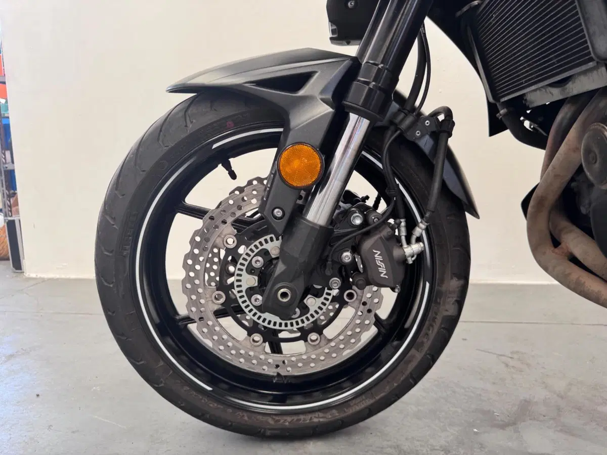 Kawasaki Versys 650 (2017 - 20) (6)