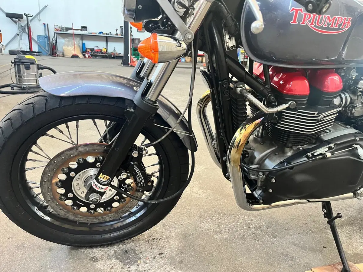 Triumph Thruxton 900 (2004 - 15) (16)