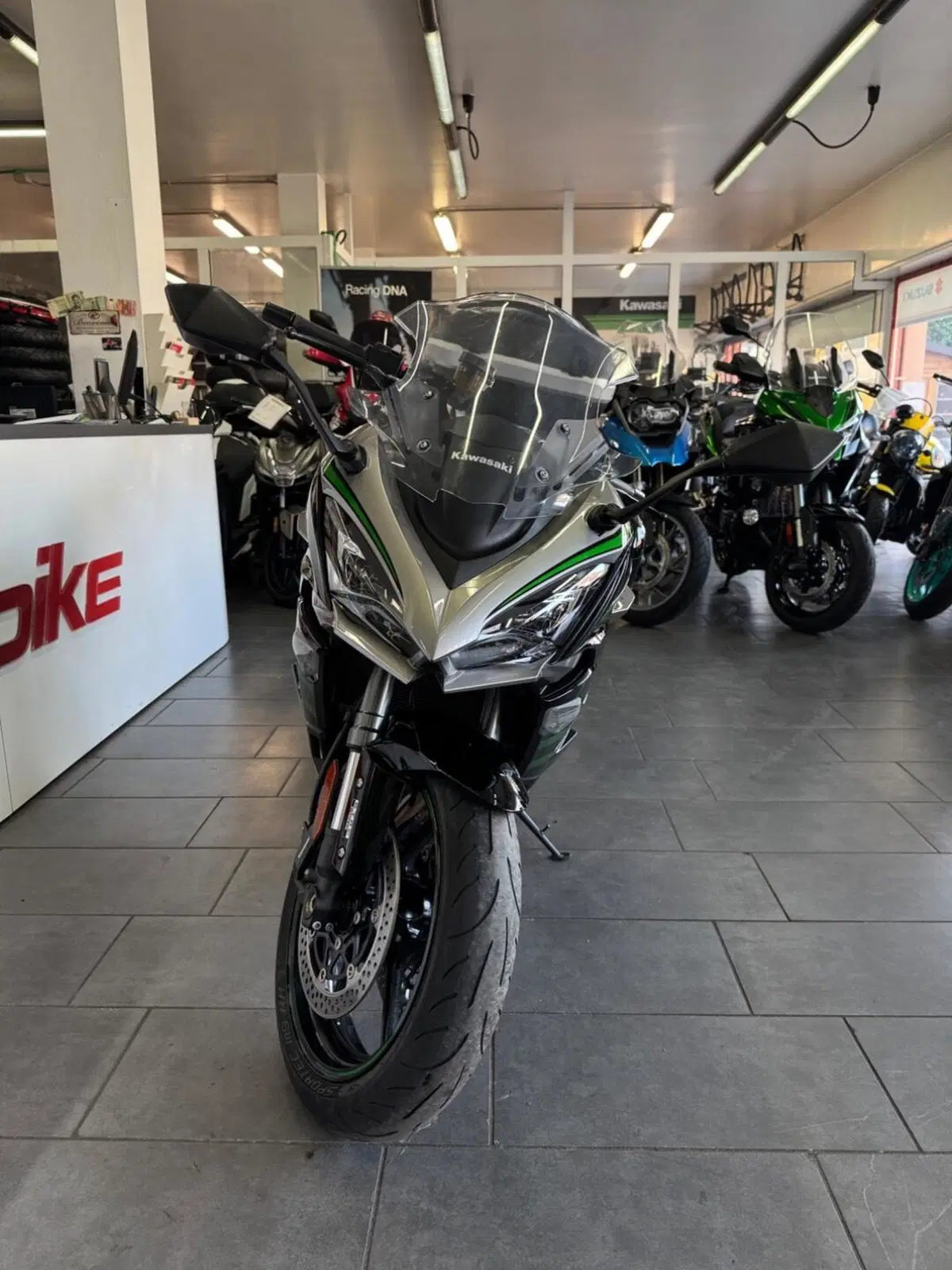 Kawasaki Ninja 1000 SX (2021 - 24) (3)
