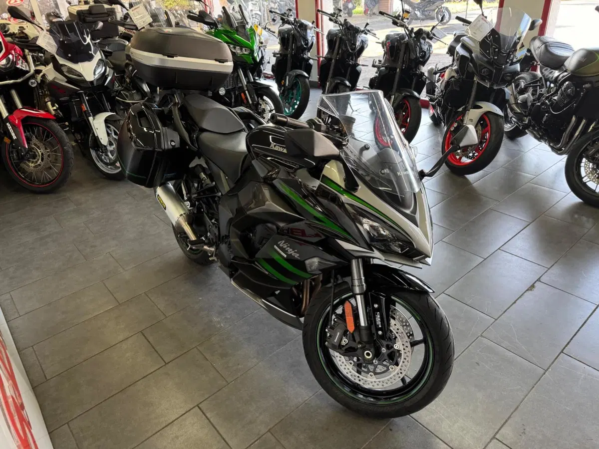 Kawasaki Ninja 1000 SX (2021 - 24) (6)