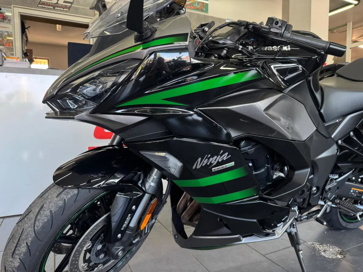 Kawasaki Ninja 1000 SX (2021 - 24) (11)