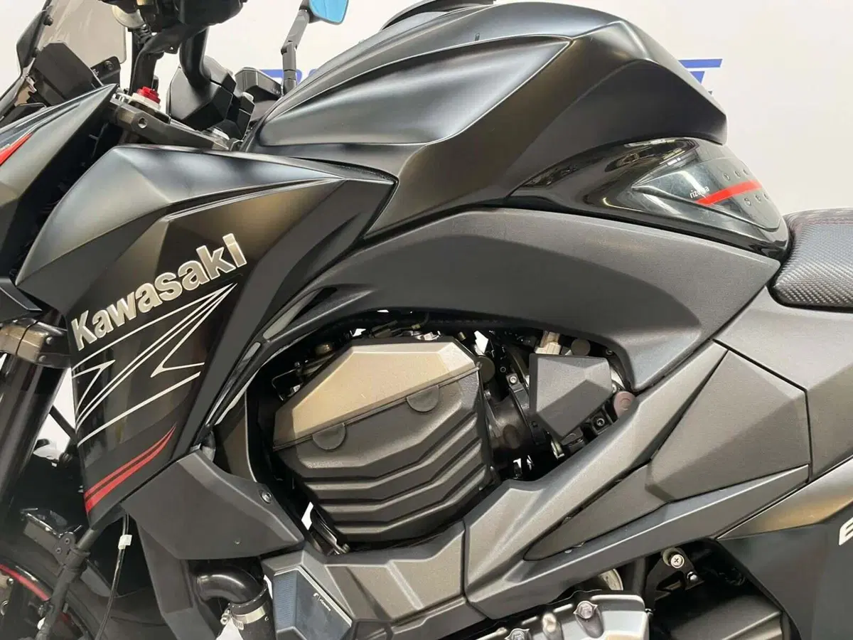 Kawasaki Z 800 Performance ABS (2013) (4)