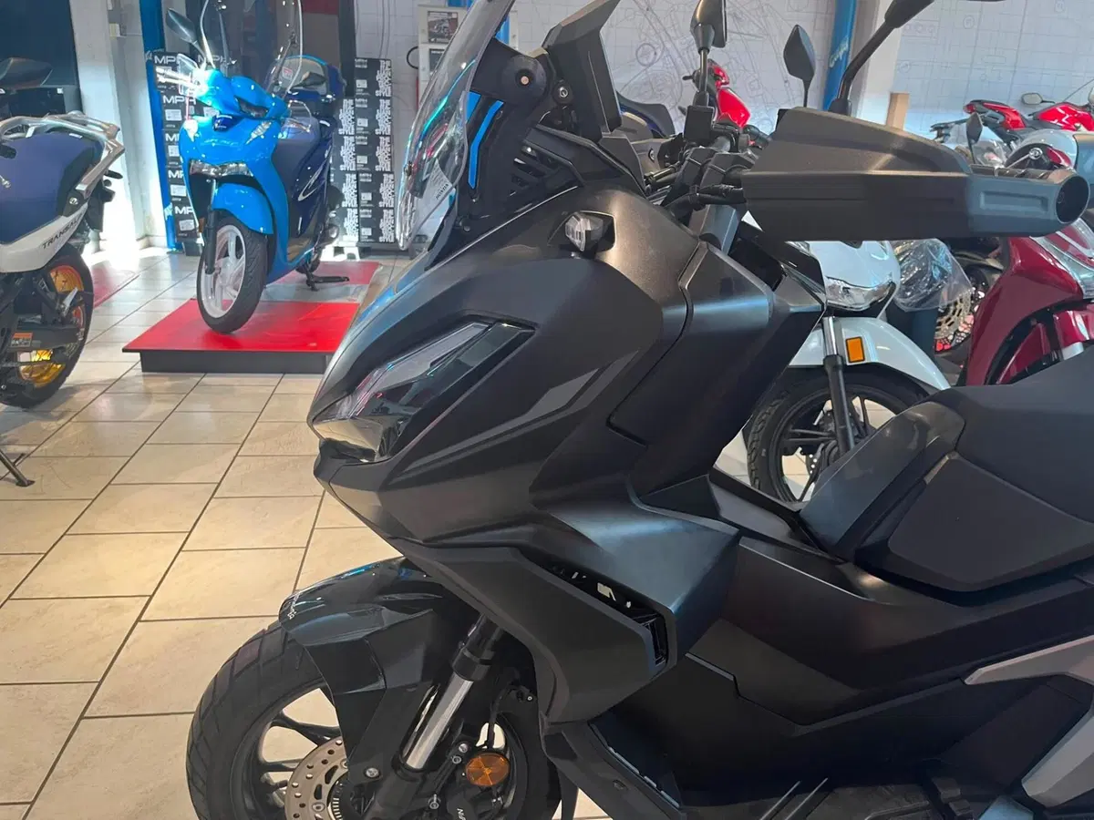 Honda ADV 350 Special Edition (2025 - 26) (6)