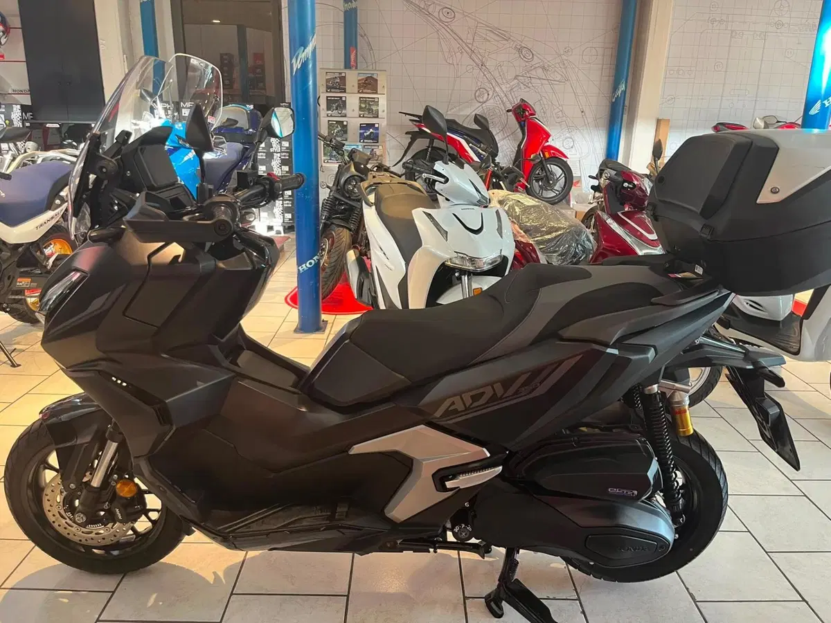 Honda ADV 350 Special Edition (2025 - 26) (7)