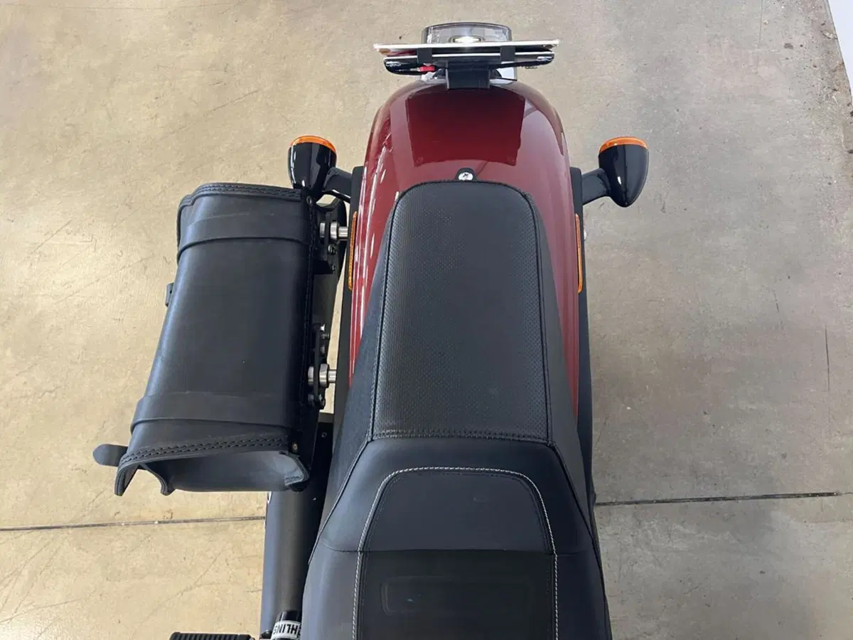 Harley-Davidson Low Rider S (2022 - 24) (13)