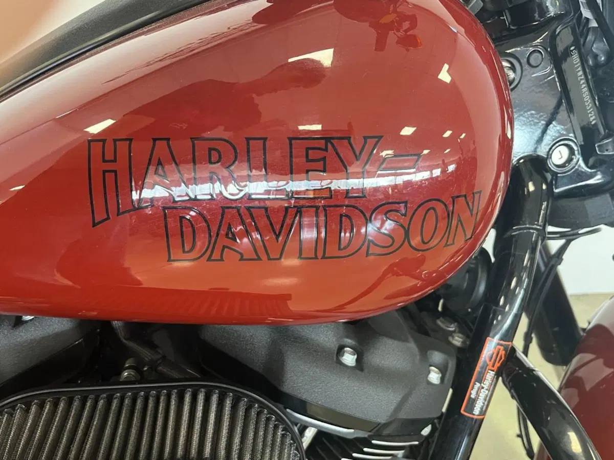 Harley-Davidson Low Rider S (2022 - 24) (2)