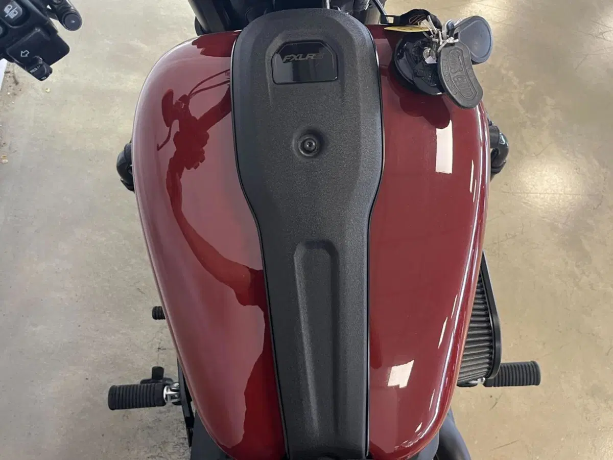 Harley-Davidson Low Rider S (2022 - 24) (14)