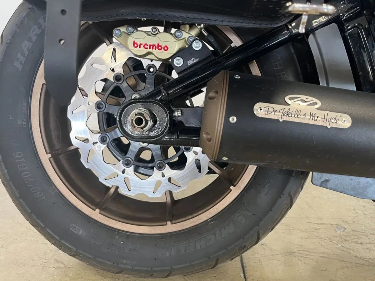 Harley-Davidson Low Rider S (2022 - 24) (12)