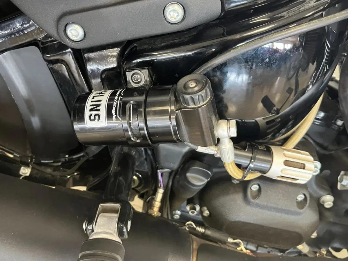 Harley-Davidson Low Rider S (2022 - 24) (18)